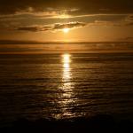 Cambria_0185 (November 04, 2017)